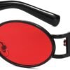Black Round Sunglasses – Red Lens Unisex