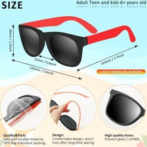 Black Wayfarer Sunglasses - Red Temples, Smoke Lens