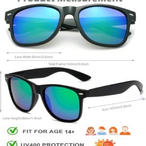 Black Wayfarer Sunglasses Blue Mirrored Lens Unisex