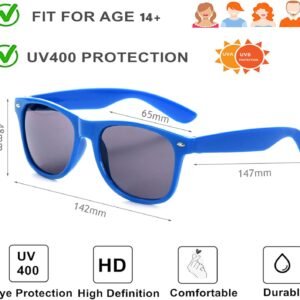 Blue Wayfarer Sunglasses – Smoke Lens, Unisex