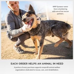 WMP Unisex Wayfarer Sunglasses Black Frame