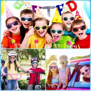 Bulk Pack Assorted Wayfarer Sunglasses Multicolor Frames